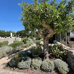 Bed & Breakfast Trulli Don Diego Noci