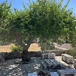 Trulli Don Diego Bed & Breakfast *