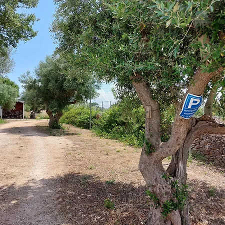 Bed & Breakfast Trulli Don Diego *