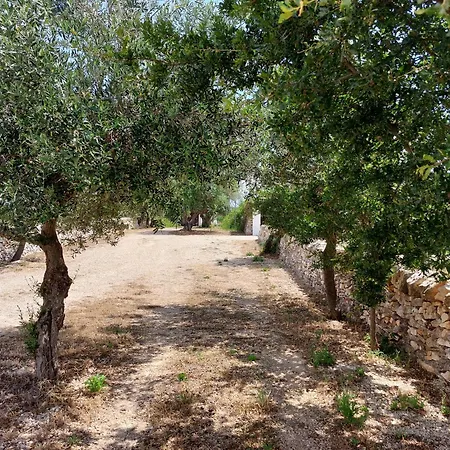 Bed & Breakfast Trulli Don Diego *