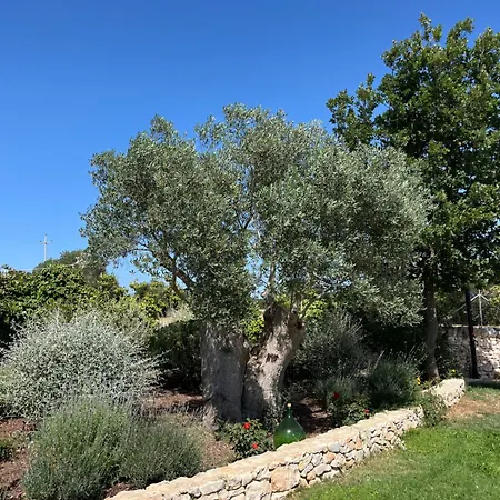 Trulli Don Diego * Noci