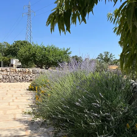 Trulli Don Diego Frühstückspension