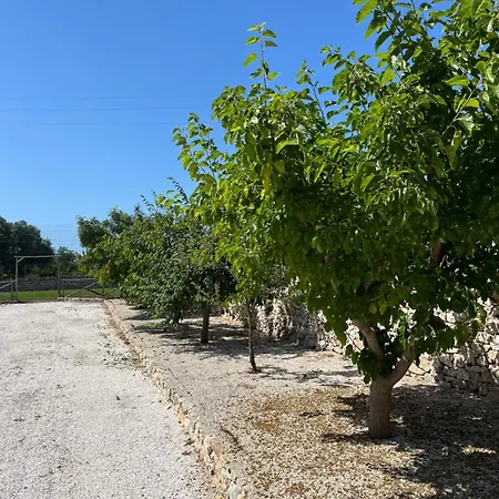 Trulli Don Diego Noci
