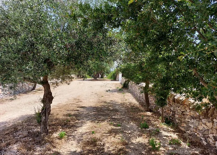 Bed and breakfast Trulli Don Diego *