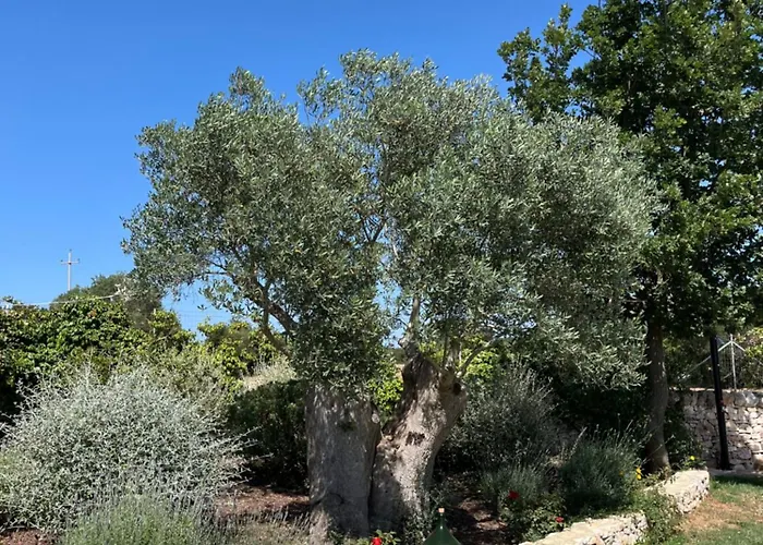 Trulli Don Diego * Noci