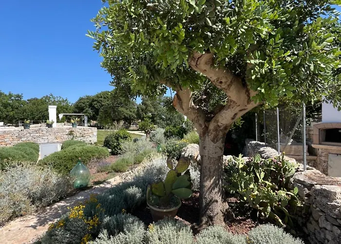 Bed & Breakfast Trulli Don Diego Noci