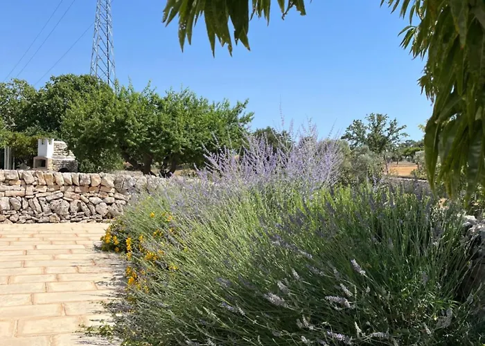 Trulli Don Diego Bed and breakfast