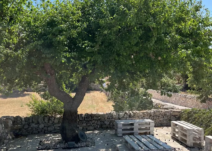 Trulli Don Diego Bed & Breakfast *